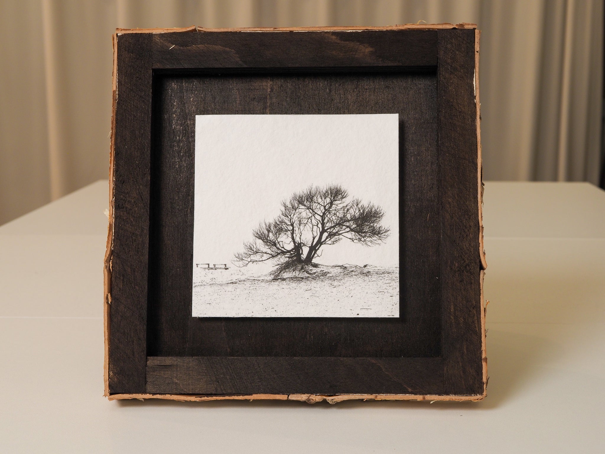 Baum