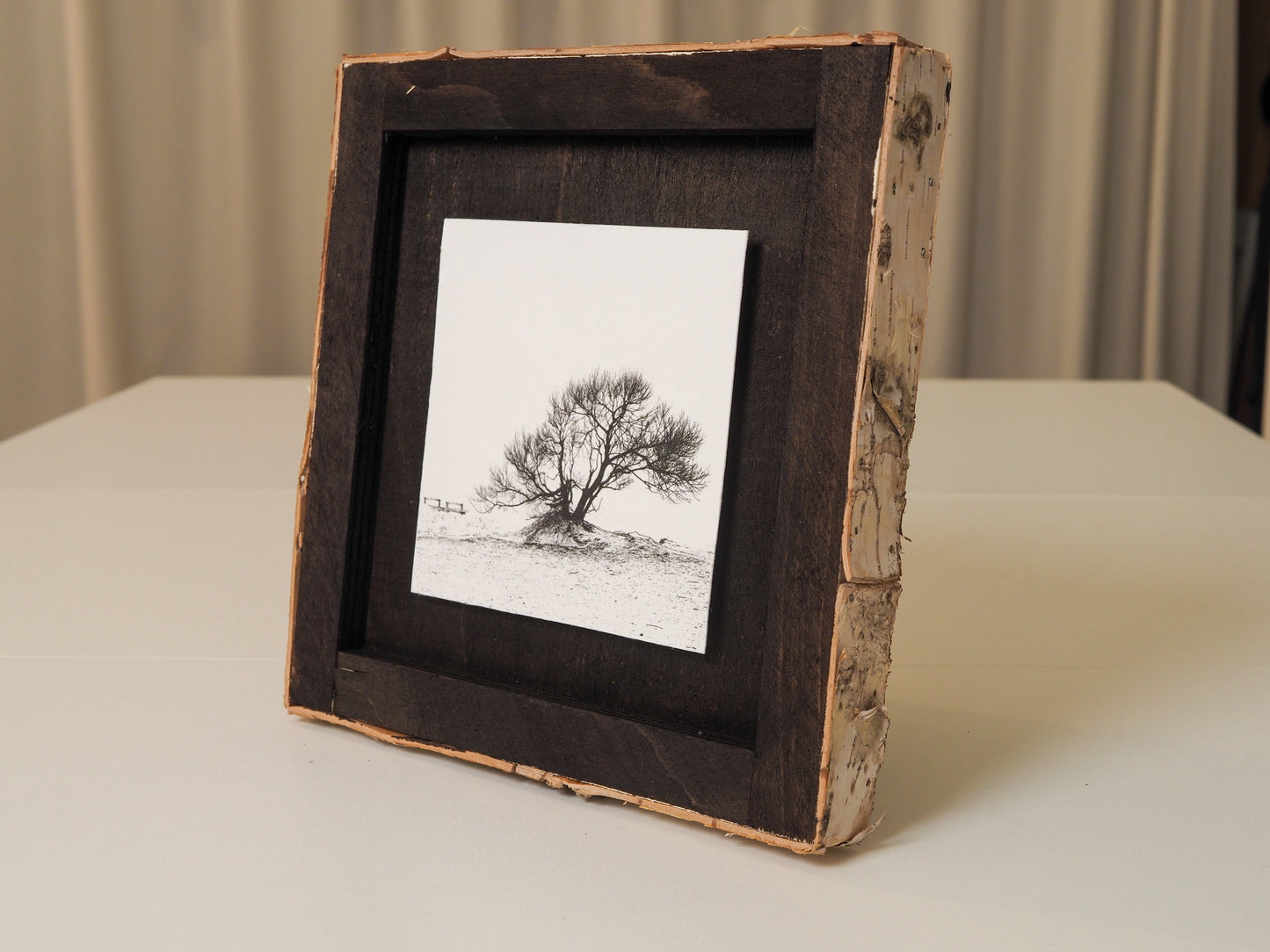 Baum
